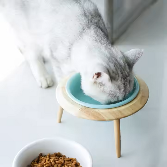 3Way Ceramic Cat Bowl