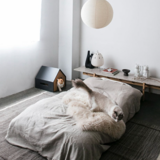 【&CAT】HÜTTE / cat house