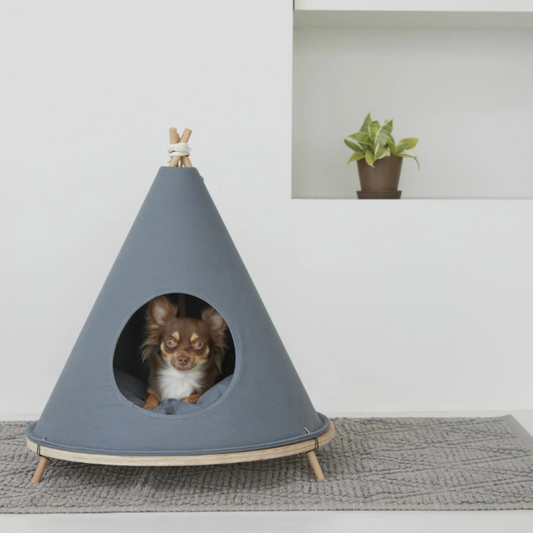 PET Tent House