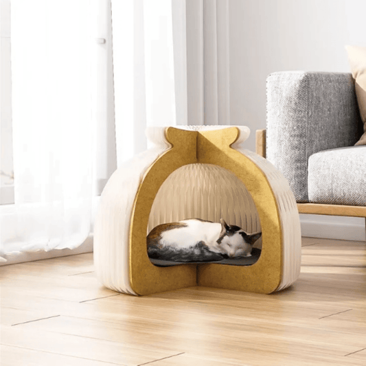Paper Cat House
