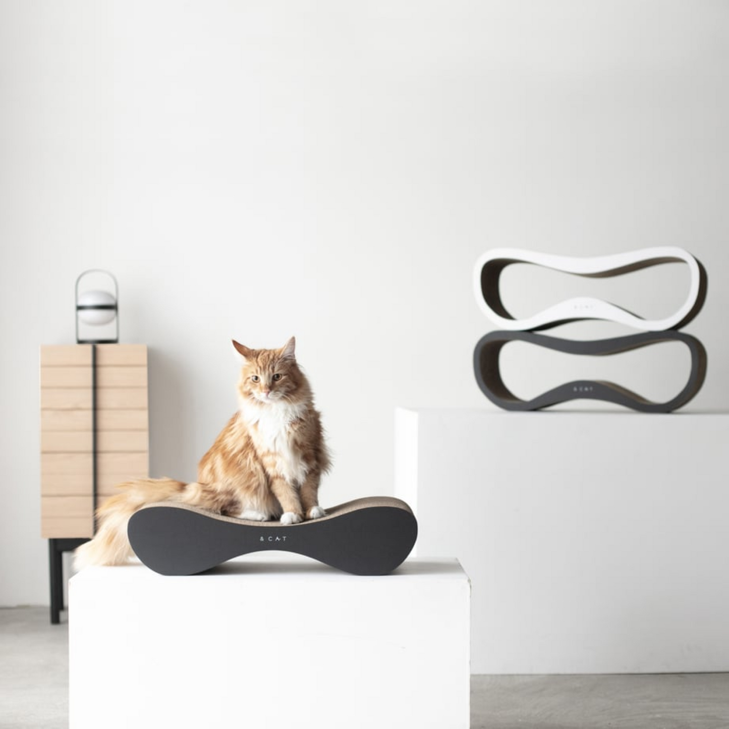 【＆CAT】SCRATCHER LOUNGE
