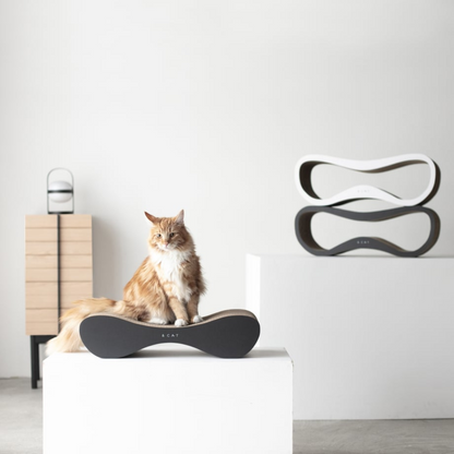 【＆CAT】SCRATCHER LOUNGE