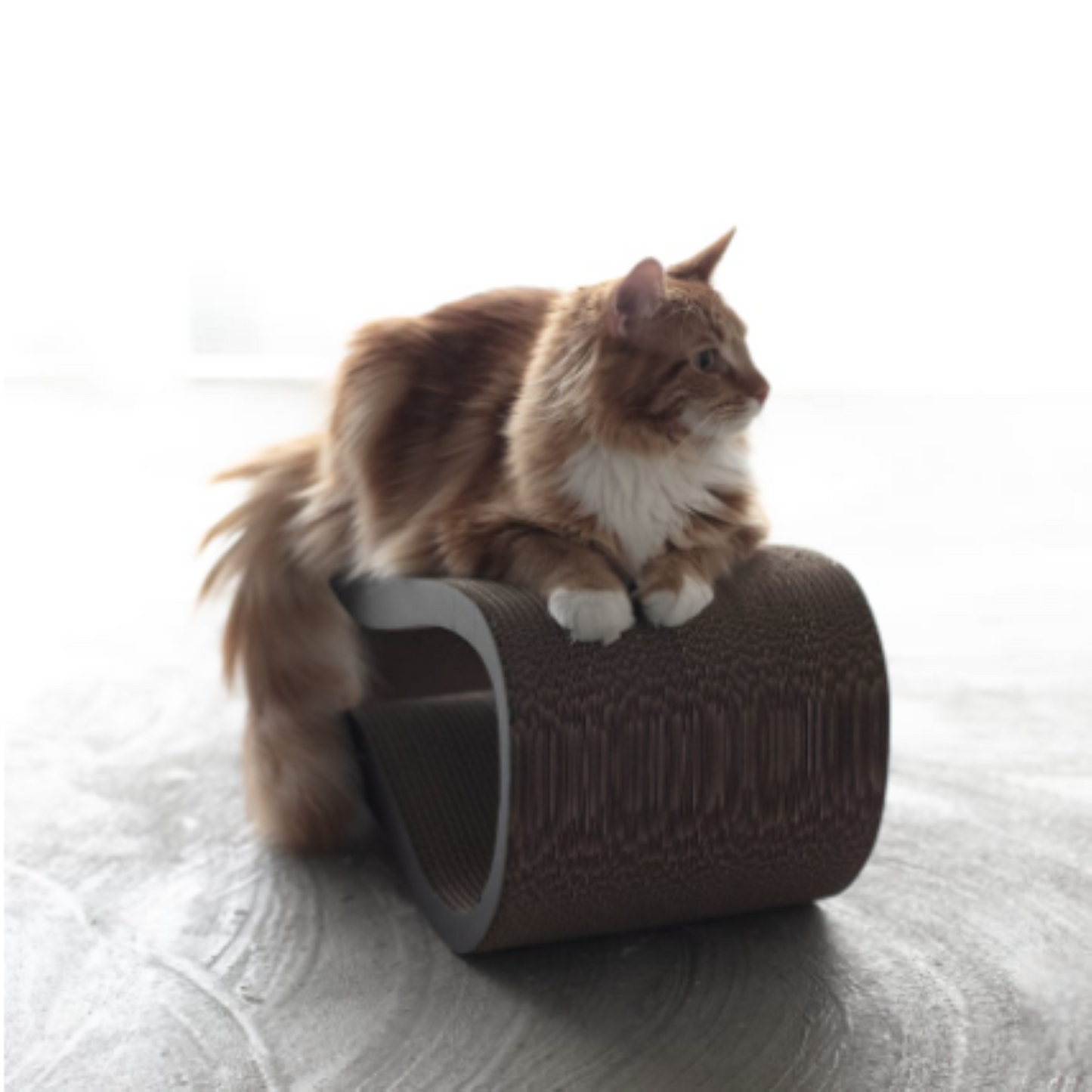 【＆CAT】SCRATCHER LOUNGE
