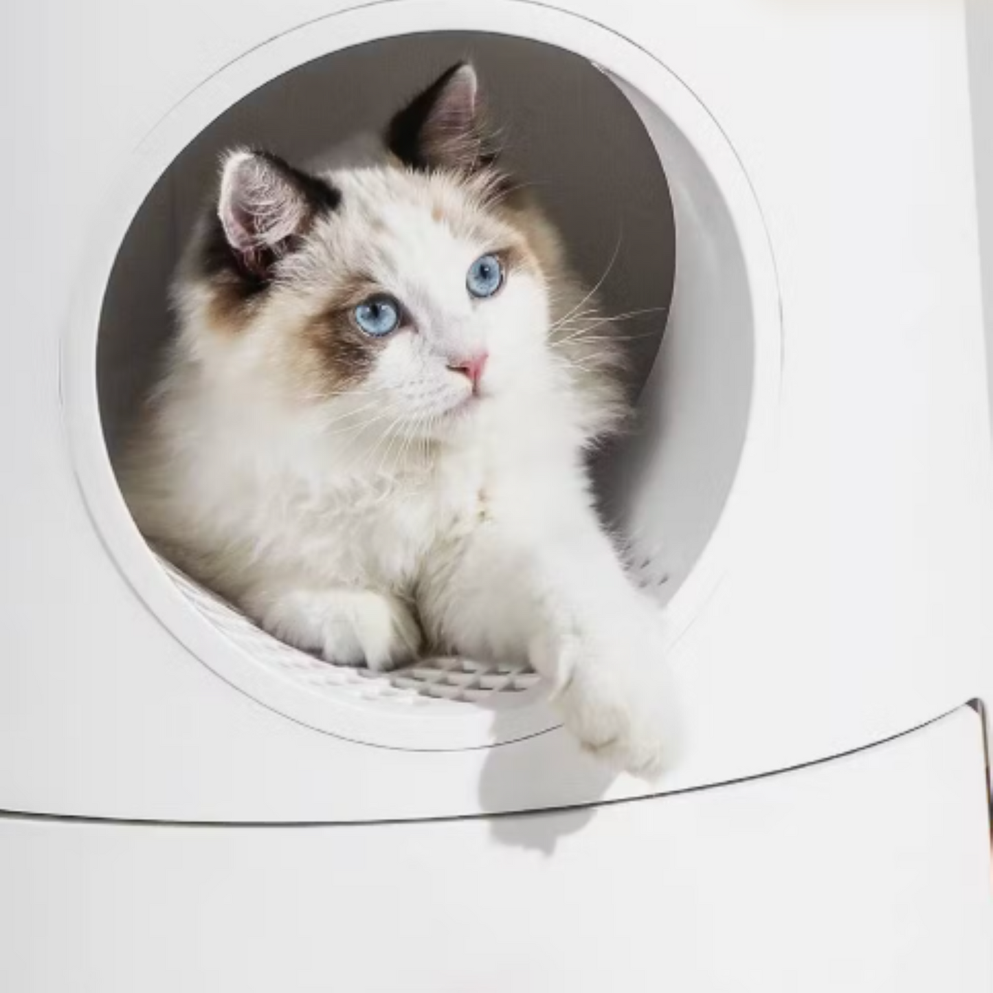 Cat Castle Toilet